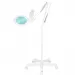 LAMPA LUPA LED MOONLIGHT 8013/6" WHITE ZE STATYWEM