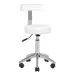 TABORET KOSMETYCZNY AM-303 Z OPARCIEM BIAŁY