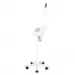 WAPOZON AZZURRO H1105 SONIA