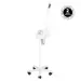 WAPOZON AZZURRO H1107 SONIA