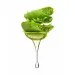 Arcocere Mleczko Aloesowe po Depilacji 500 ml