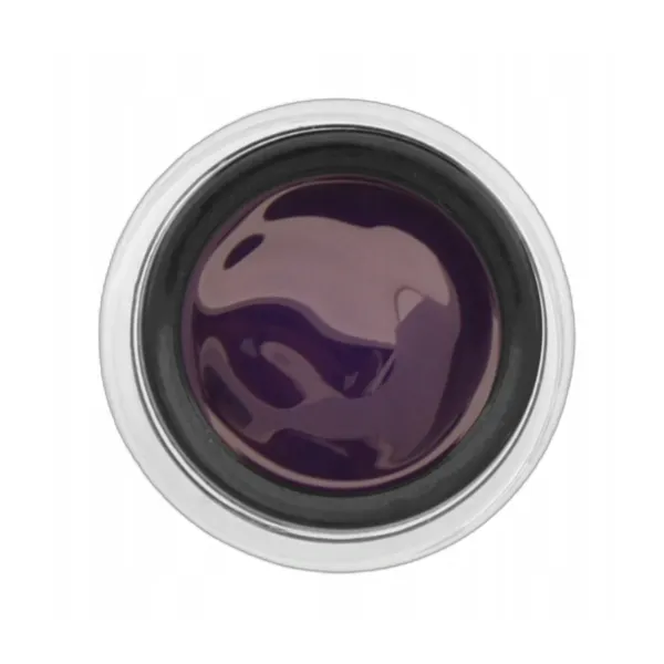 Yoshi Paint Gel Violet 5 G