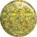 VICTORIA VYNN BRILLANT GEL NR 46 UNAKITE 5 G