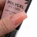 Mollylac Polygel Pudding 30 ml