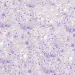 Brokat Do Paznokci Princess Nails Effect nr 1