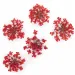 Ozdoba do paznokci suszone kwiatki MollyLac Red 5szt