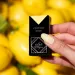 Eclair Smart Base LEMON 7ml - baza hybrydowa