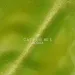 Dnka' Lakier Hybrydowy Color Cat's Eye #0006 80's 12 ml