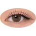 Trendy Effects Gel ProjectLashes X Dominika Jurek Kim & Wet Rays