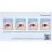 Trendy Effects Gel ProjectLashes X Dominika Jurek Kim & Wet Rays