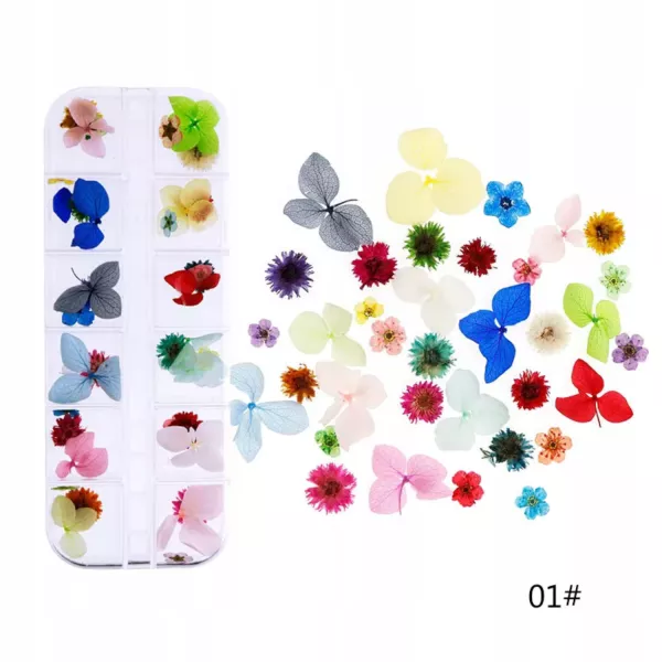 Suszone Kwiaty Do Ozdób Paznokci na paznokcie 01 kasetka zestaw