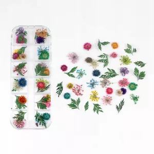 Suszone Kwiaty Do Ozdób Paznokci na paznokcie 02 kasetka zestaw