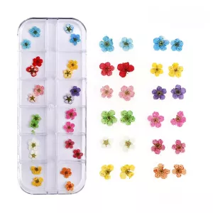 Suszone Kwiaty Do Ozdób Paznokci na paznokcie 08 kasetka zestaw
