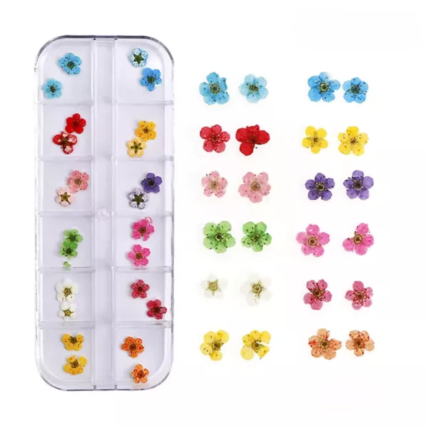 Suszone Kwiaty Do Ozdób Paznokci na paznokcie 08 kasetka zestaw