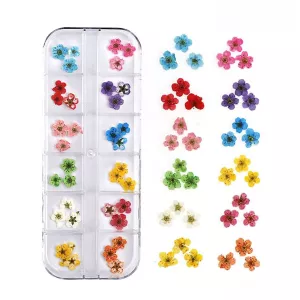 Suszone Kwiaty Do Ozdób Paznokci na paznokcie 09 kasetka zestaw