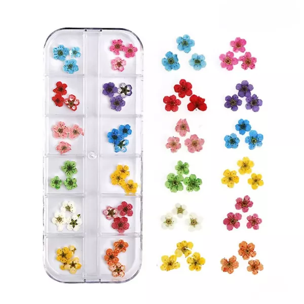 Suszone Kwiaty Do Ozdób Paznokci na paznokcie 09 kasetka zestaw
