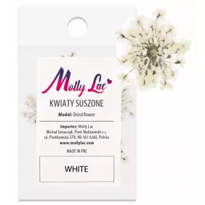 Suszone Kwiatki Do Paznokci White