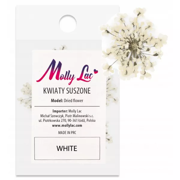 Suszone Kwiatki Do Paznokci White