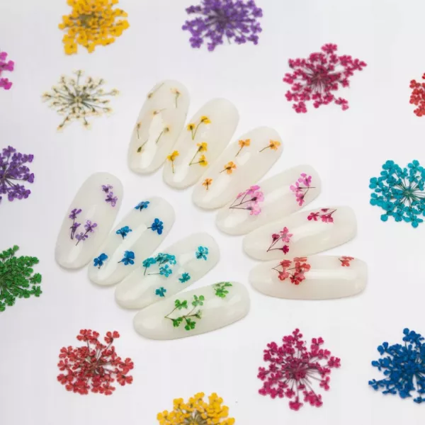 Suszone Kwiatki Do Paznokci White