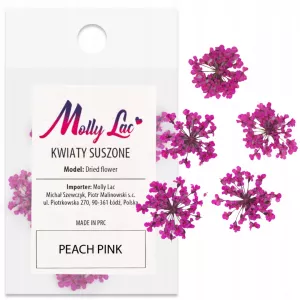 Suszone Kwiatki Do Paznokci Peach Pink