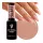Victoria Vynn Lakier Hybrydowy 465 Rose Whisper 8 ml