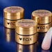 Fox Ombre Gel Paint 004 5 ml