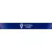 Victoria Vynn Top Starlit Silver 8 ml