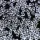 cyrkonie szklane 01 2g Bulion diamentowy Crystal 1 mm Nr 01
