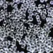 cyrkonie szklane 01 2g Bulion diamentowy Crystal 1 mm Nr 01